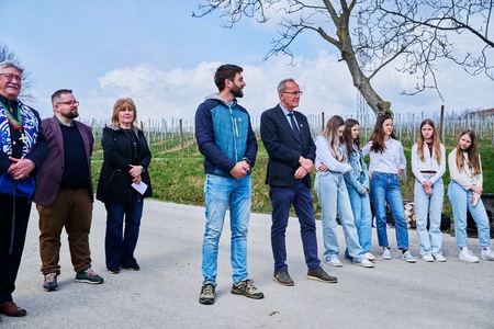 Rez potomke Sˇkalce 26